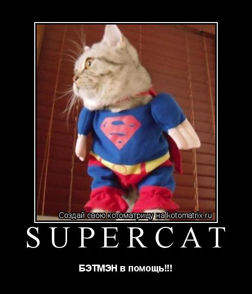Котоматрица: SUPERCAT БЭТМЭН в помощь!!!
