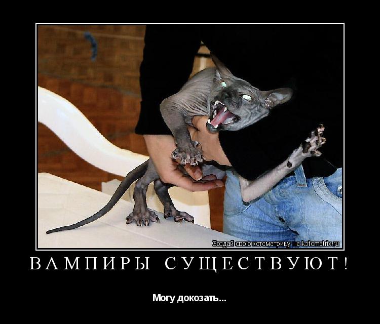 Вампиры существуют! Могу докозать...... Котоматрица: Вампиры существуют! Могу докозать...