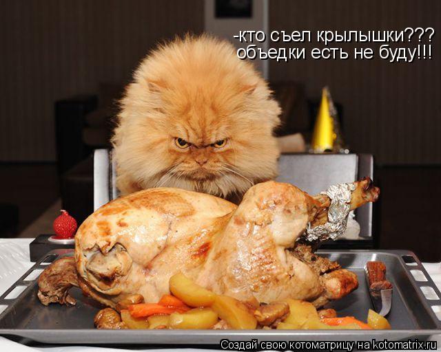 Котоматрица: -кто съел крылышки??? объедки есть не буду!!!