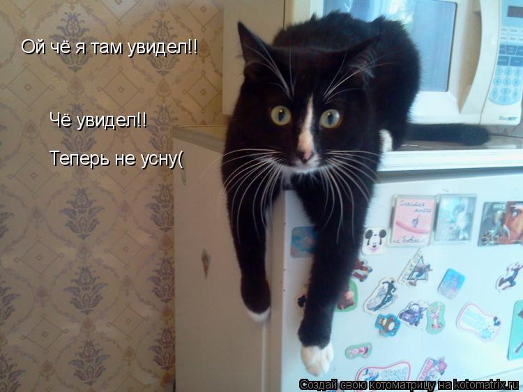 Котоматрица: Ой чё я там увидел!! Чё увидел!! Теперь не усну(