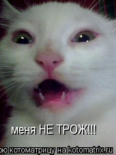 Котоматрица: меня НЕ ТРОЖ!!!