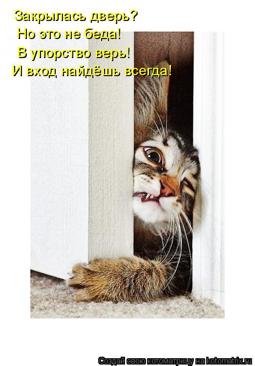 Закрылась дверь? Но это не беда! В упорство верь! И вход найдёшь всегда!... Котоматрица: Закрылась дверь? Но это не беда! В упорство верь! И вход найдёшь всегда!