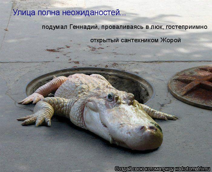 Улица полна неожиданостей... открытый сантехником Жорой подумал Геннадий, проваливаясь в люк, гостепр... Котоматрица: Улица полна неожиданостей... открытый сантехником Жорой подумал Геннадий, проваливаясь в люк, гостеприимно