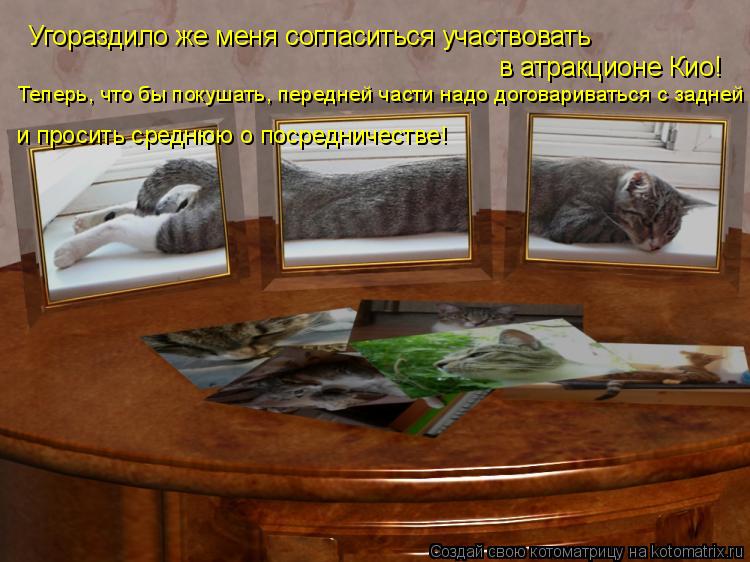Угораздило же меня согласиться участвовать в атракционе Кио! Теперь, что бы покушать, передней части ... Котоматрица: Угораздило же меня согласиться участвовать в атракционе Кио! Теперь, что бы покушать, передней части надо договариваться с задней и просит