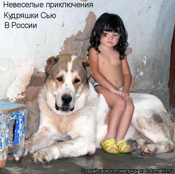 Кудряшки Сью В России Невеселые приключения... Котоматрица: Кудряшки Сью В России Невеселые приключения