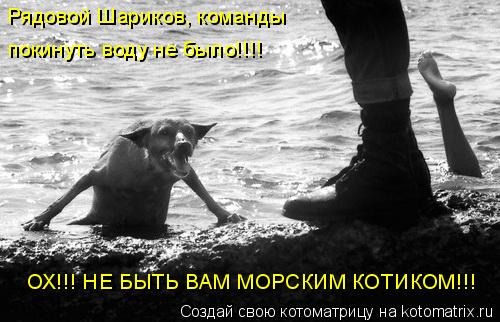 Рядовой Шариков, команды покинуть воду не было!!!! ОХ!!! НЕ БЫТЬ ВАМ МОРСКИМ КОТИКОМ!!!... Котоматрица: Рядовой Шариков, команды покинуть воду не было!!!! ОХ!!! НЕ БЫТЬ ВАМ МОРСКИМ КОТИКОМ!!!