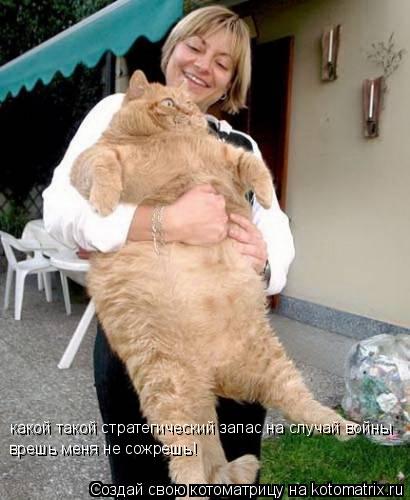 какой такой стратегический запас на случай войны врешь меня не сожрешь!... Котоматрица: какой такой стратегический запас на случай войны врешь меня не сожрешь!