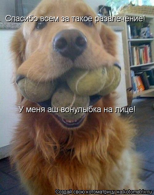 Котоматрица: Спасибо всем за такое развлечение!  У меня аш вонулыбка на лице!