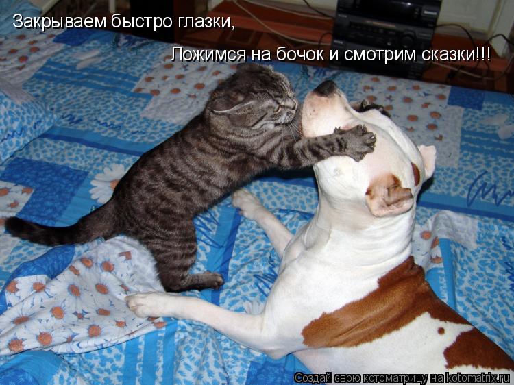 Котоматрица: Закрываем быстро глазки, Ложимся на бочок и смотрим сказки!!!