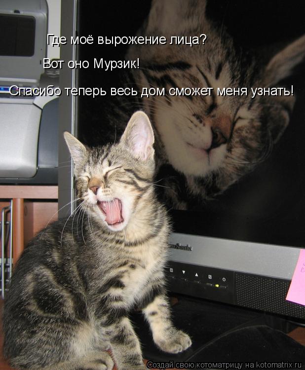 Котоматрица: Где моё вырожение лица? Вот оно Мурзик! Спасибо теперь весь дом сможет меня узнать!
