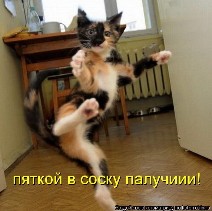 Котоматрица: пяткой в соску палучиии!