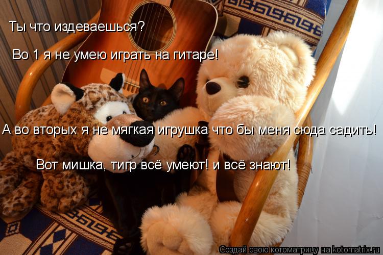 Котоматрица: Ты что издеваешься? Во 1 я не умею играть на гитаре! А во вторых я не мягкая игрушка что бы меня сюда садить! Вот мишка, тигр всё умеют! и всё зн