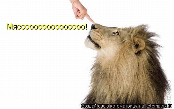 Котоматрица: Мясооооооооооооооо!
