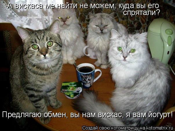 Котоматрица: -А вискаса ме найти не можем, куда вы его спрятали? Предлягаю обмен, вы нам вискас, я вам йогурт!