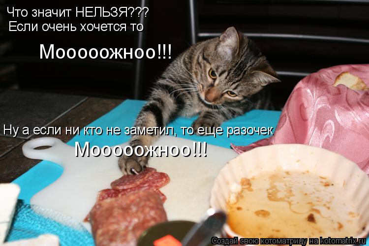 Котоматрица: Что значит НЕЛЬЗЯ??? Если очень хочется то Мооооожноо!!! Мооооожноо!!! Ну а если ни кто не заметил, то еще разочек