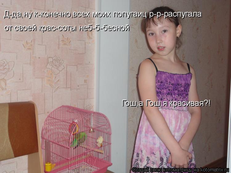 Котоматрица: Гош,а Гош,я красивая?! Д-да,ну к-конечно,всех моих попугаиц р-р-распугала от своей крас-соты неб-б-бесной