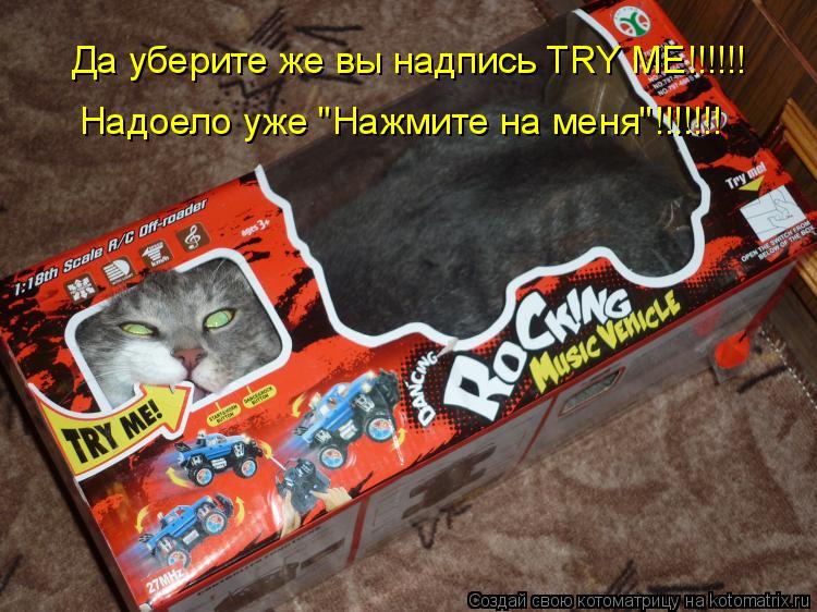 Котоматрица: Да уберите же вы надпись TRY ME!!!!!! Надоело уже "Нажмите на меня"!!!!!!!