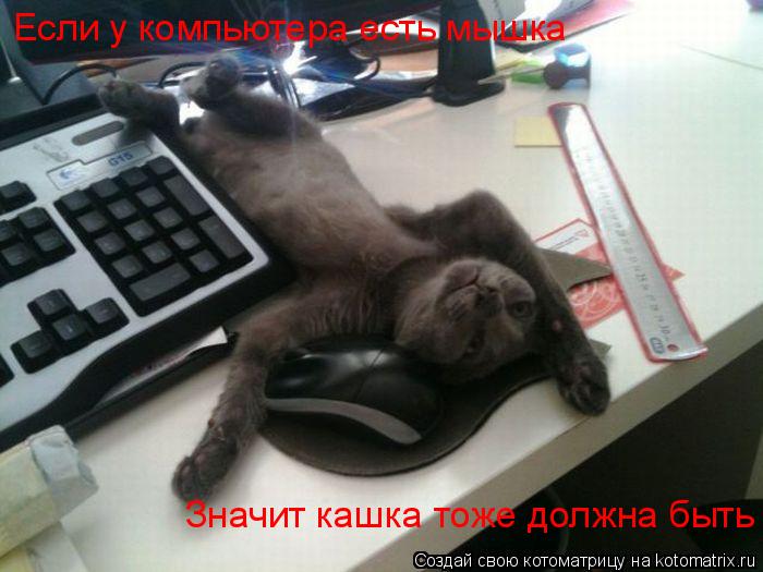 Если у компьютера есть мышка Значит кашка тоже должна быть... Котоматрица: Если у компьютера есть мышка Значит кашка тоже должна быть