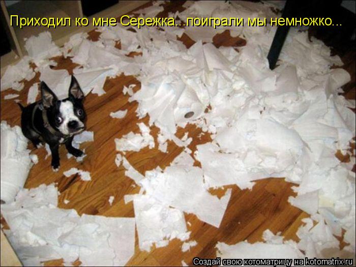 Котоматрица: Приходил ко мне Сережка...поиграли мы немножко...