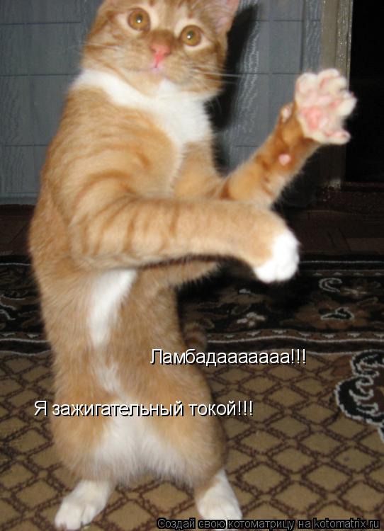 Ламбадааааааа!!! Я зажигательный токой!!!... Котоматрица: Ламбадааааааа!!! Я зажигательный токой!!!