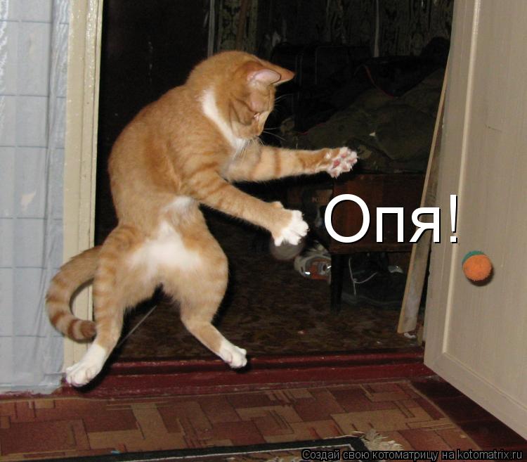 Опя!... Котоматрица: Опя!