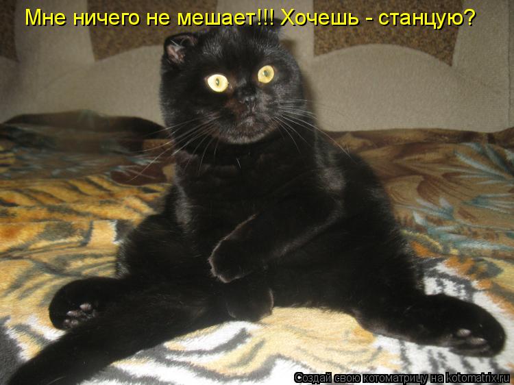 Мне ничего не мешает!!! Хочешь - станцую?... Котоматрица: Мне ничего не мешает!!! Хочешь - станцую?