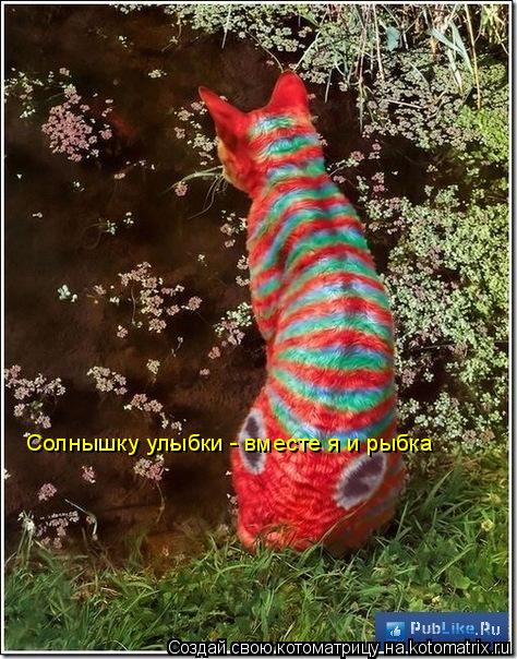 Солнышку улыбки - вместе я и рыбка... Котоматрица: Солнышку улыбки - вместе я и рыбка