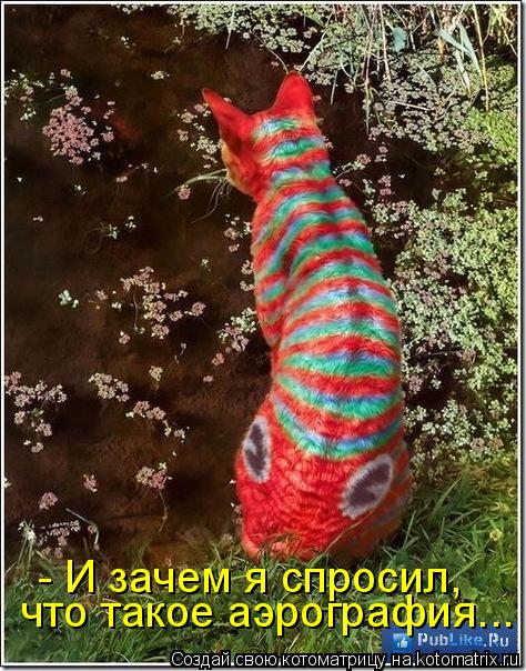 - И зачем я спросил, что такое аэрография...... Котоматрица: - И зачем я спросил, что такое аэрография...