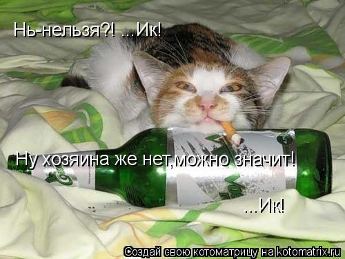 Нь-нельзя?! ...Ик! Ну хозяина же нет,можно значит! ...Ик!... Котоматрица: Нь-нельзя?! ...Ик! Ну хозяина же нет,можно значит! ...Ик!