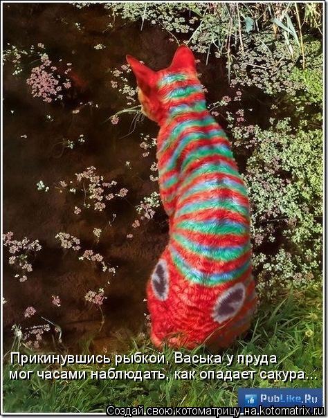 Котоматрица: Прикинувшись рыбкой, Васька у пруда мог часами наблюдать, как опадает сакура...