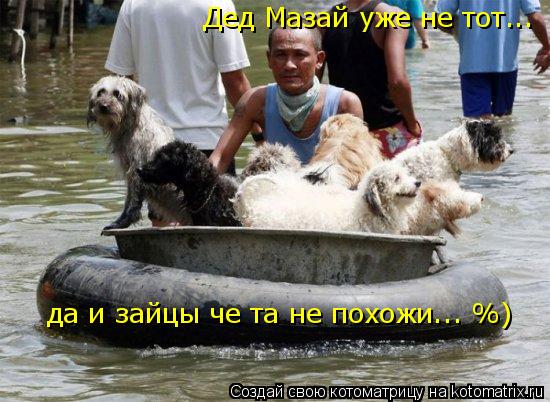 Дед Мазай уже не тот... да и зайцы че та не похожи... %)... Котоматрица: Дед Мазай уже не тот... да и зайцы че та не похожи... %)