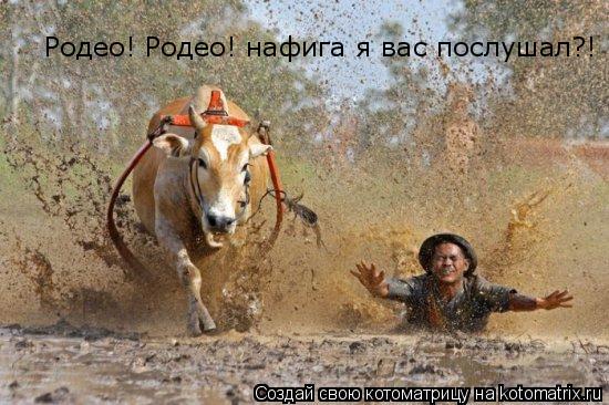 Родео! Родео! нафига я вас послушал?!... Котоматрица: Родео! Родео! нафига я вас послушал?!