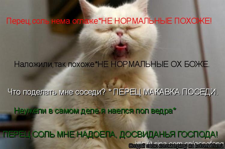 Перец,соль нема оглаже*НЕ НОРМАЛЬНЫЕ ПОХОЖЕ! Наложили,так похоже*НЕ НОРМАЛЬНЫЕ ОХ БОЖЕ. Что поделать... Котоматрица: Перец,соль нема оглаже*НЕ НОРМАЛЬНЫЕ ПОХОЖЕ! Наложили,так похоже*НЕ НОРМАЛЬНЫЕ ОХ БОЖЕ. Что поделать мне соседи? * ПЕРЕЦ МАКАВКА ПОСЕДИ. Неу