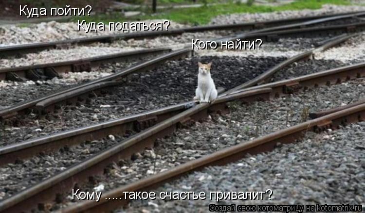 Куда пойти? Куда податься? Кого найти? Кому .....такое счастье привалит?... Котоматрица: Куда пойти? Куда податься? Кого найти? Кому .....такое счастье привалит?