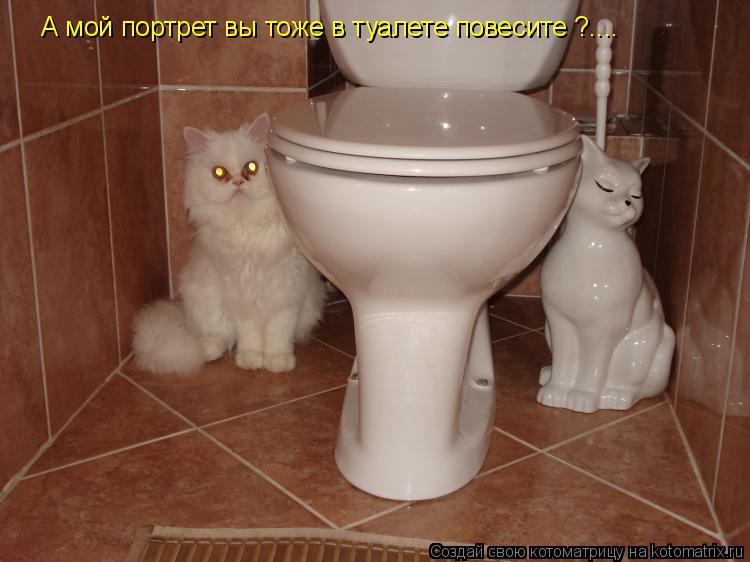 А мой портрет вы тоже в туалете повесите ?....... Котоматрица: А мой портрет вы тоже в туалете повесите ?....