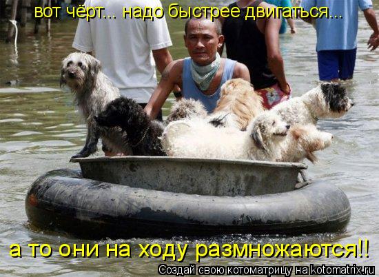 вот чёрт... надо быстрее двигаться... а то они на ходу размножаются!!... Котоматрица: вот чёрт... надо быстрее двигаться... а то они на ходу размножаются!!