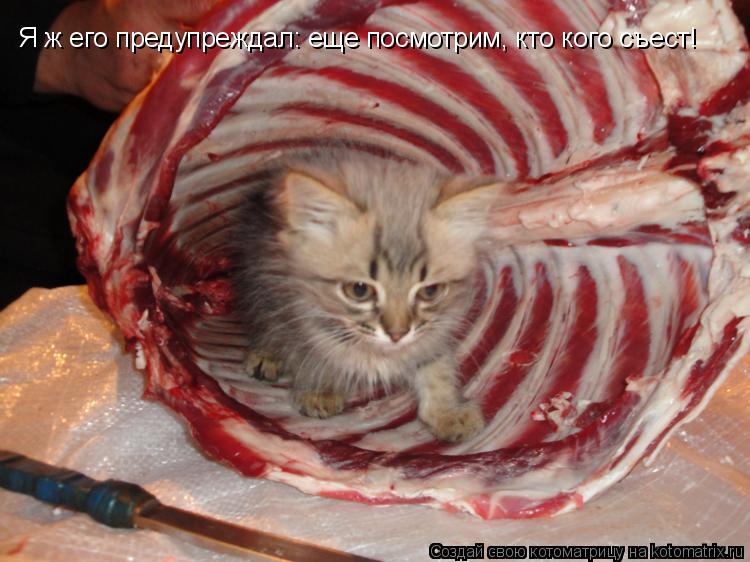 Я ж его предупреждал: еще посмотрим, кто кого съест!... Котоматрица: Я ж его предупреждал: еще посмотрим, кто кого съест!