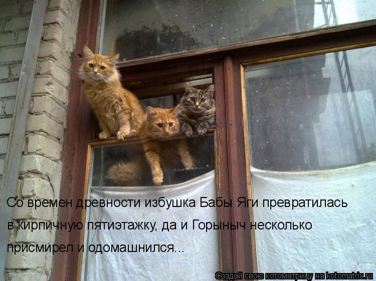 Котоматрица: Со времен древности избушка Бабы Яги превратилась  в кирпичную пятиэтажку, да и Горыныч несколько  присмирел и одомашнился...