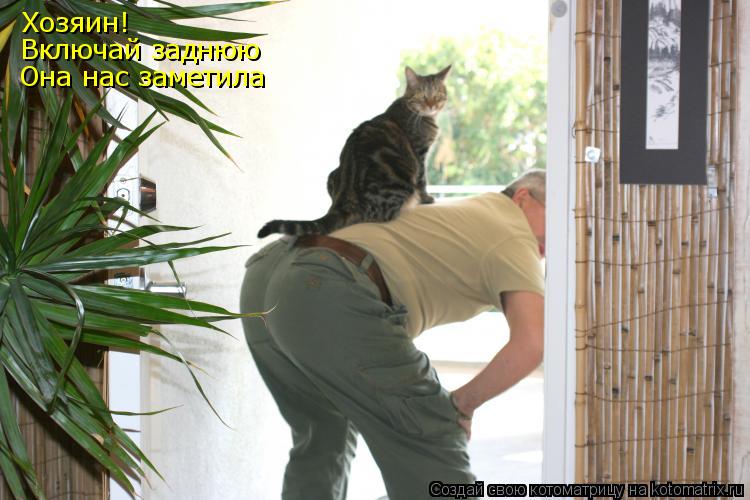 Котоматрица: Хозяин! Включай заднюю Она нас заметила