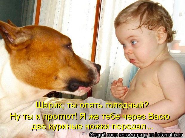 Котоматрица: Шарик, ты опять голодный? Ну ты и проглот! Я же тебе через Васю две куриные ножки передал...