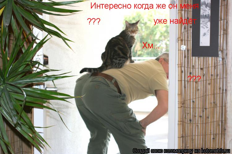 Котоматрица: Хм... Интересно когда же он меня  уже найдёт ??? ???