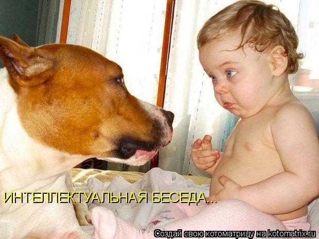 Котоматрица: ИНТЕЛЛЕКТУАЛЬНАЯ БЕСЕДА...