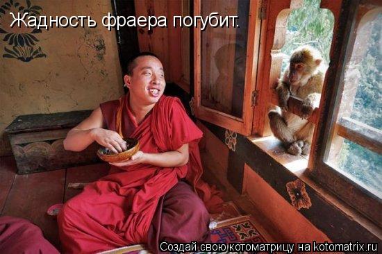 Котоматрица: Жадность фраера погубит.