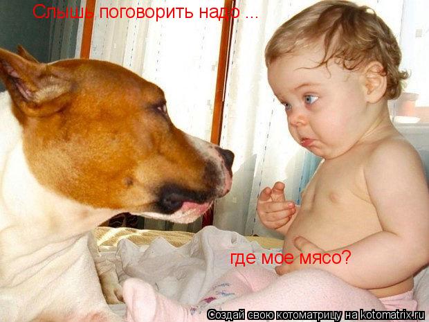 Котоматрица: Слышь поговорить надо ... где мое мясо?