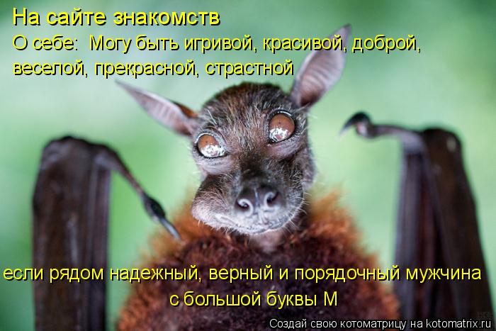 На сайте знакомств О себе: Могу быть игривой, красивой, доброй, веселой, прекрасной, страстной есл... Котоматрица: На сайте знакомств О себе: Могу быть игривой, красивой, доброй, веселой, прекрасной, страстной если рядом надежный, верный и порядочный муж