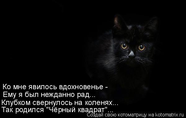Котоматрица: Так родился "Чёрный квадрат"... Клубком свернулось на коленях... Ему я был нежданно рад... Ко мне явилось вдохновенье -