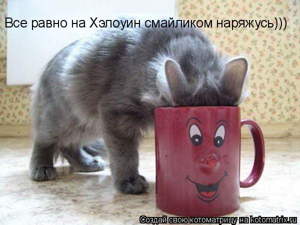Котоматрица: Все равно на Хэлоуин смайликом наряжусь)))