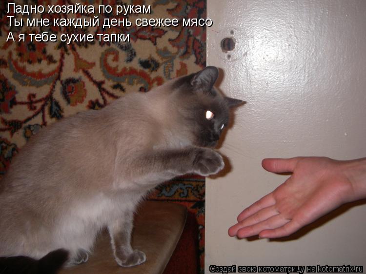 Котоматрица: Ладно хозяйка по рукам Ты мне каждый день свежее мясо А я тебе сухие тапки