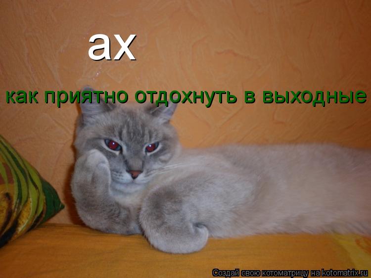 Котоматрица: ах как приятно отдохнуть в выходные как приятно отдохнуть в выходные как приятно отдохнуть в выходные