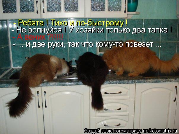 Котоматрица: - Ребята ! Тихо и по-быстрому ! - Не волнуйся ! У хозяйки только два тапка ! - А веник ?!!!!! - ... и две руки, так что кому-то повезет ...